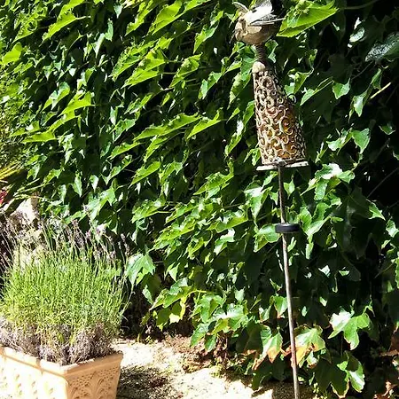 B&B Manoir De La Baussonniere