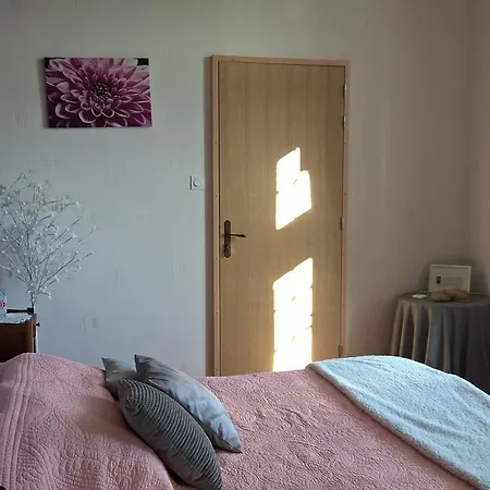 B&B Manoir De La Baussonniere *