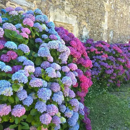 Manoir De La Baussonniere Le Boupère